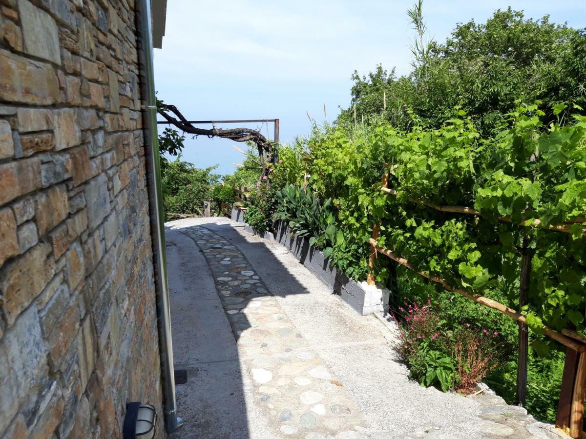 Ferienwohnung Ammos Papanero Agios Ioannis  Exterior foto