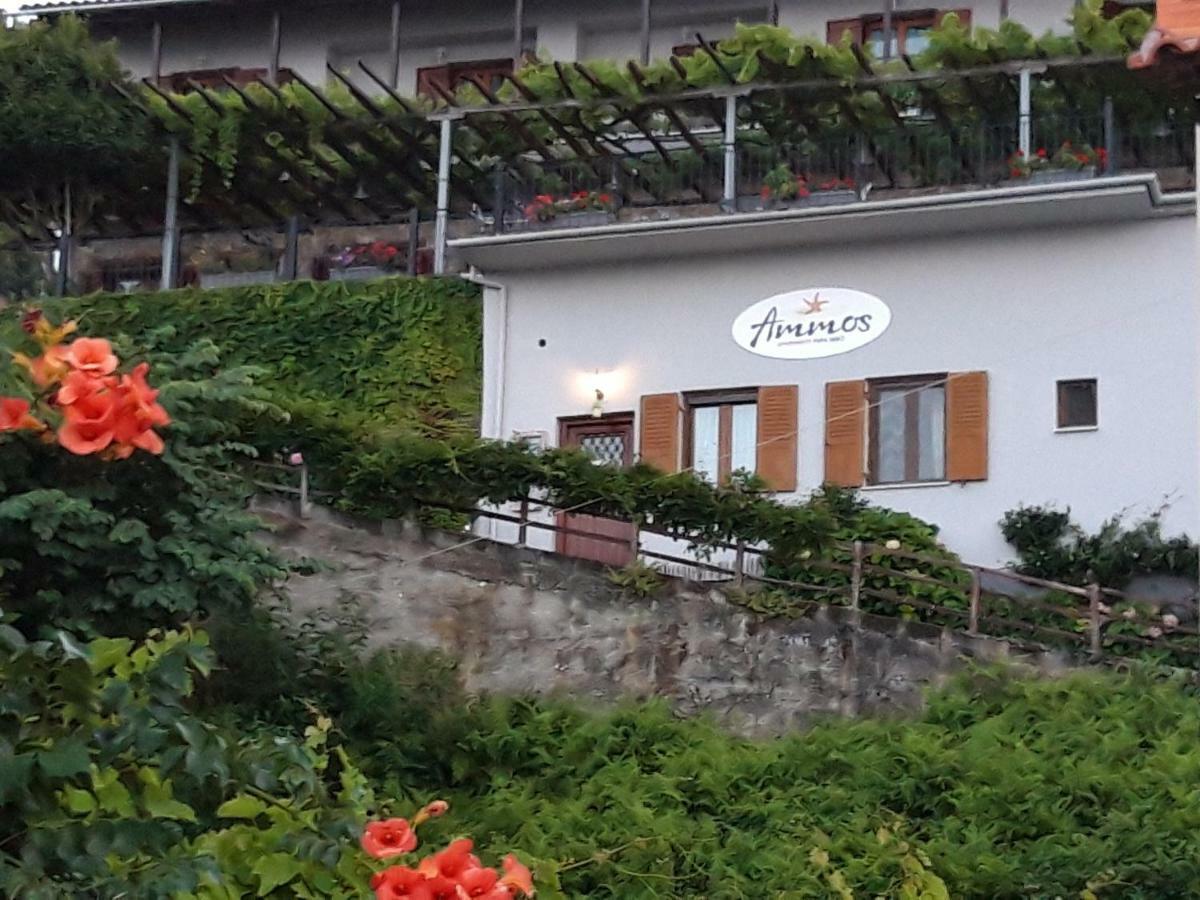 Ferienwohnung Ammos Papanero Agios Ioannis  Exterior foto
